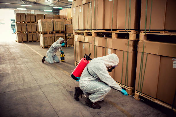 Best Termite Control Services  in China, TX
