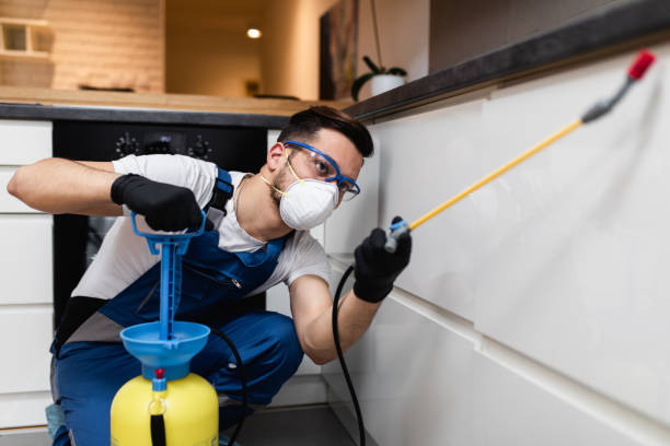  China, TX Pest Control Pros