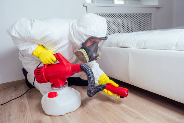 Best Pest Prevention Services  in China, TX