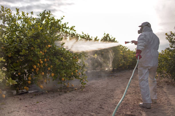 Best Best Pest Control Companies  in China, TX
