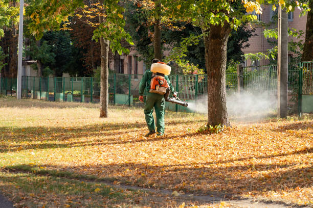 Best Commercial Pest Control Services  in China, TX