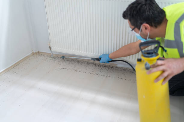 Best Cockroach Control Services  in China, TX